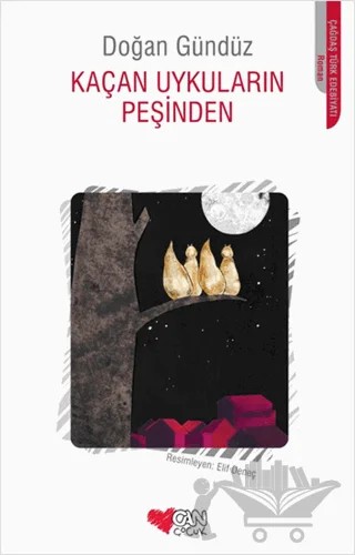 Kaçan Uykuların Peşinden – Doğan Gündüz – Can Çocuk Yayınları kitap kapağı