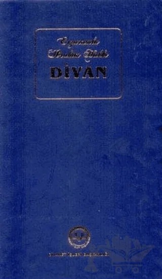 Erzurumlu İbrahim Hakkı Divan – M. Kayahan Özgül – Diyanet İşleri Başkanlığı kitap kapağı