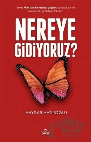 Nereye Gidiyoruz ? – Haydar Hatipoğlu – Ravza Yayınları kitap kapağı