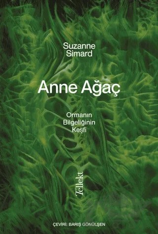 Anne Ağaç – Suzanne Simard – Tellekt kitap kapağı