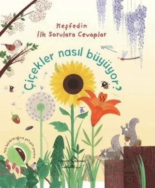 Çiçekler Nasıl Büyüyor? – Katie Daynes – İş Bankası Kültür Yayınları kitap kapağı
