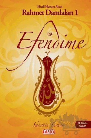 Efendime - Ebedi Huzura Akan Rahmet Damlaları 1 – Sadettin Turhan – YDY Yayınları kitap kapağı