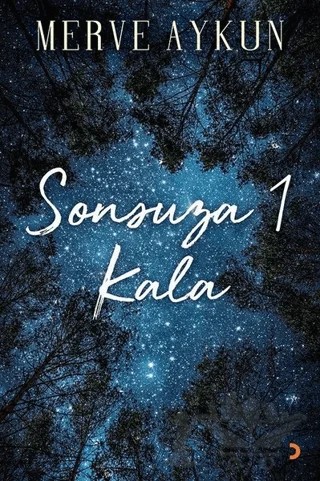 Sonsuza 1 Kala – Merve Aykun – Cinius Yayınları kitap kapağı