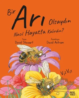 Bir Arı Olsaydın Nasıl Hayatta Kalırdın? – David Stewart – Masalperest kitap kapağı