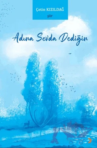 Adına Sevda Dediğin – Çetin Kızıldağ – Cinius Yayınları kitap kapağı