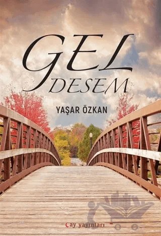 Gel Desem – Yaşar Özkan – Ay Yayınları kitap kapağı