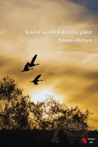 Kuşlar Kendi Baharına Gider – Hasan Edemen – Mergen Yayınları kitap kapağı