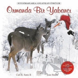 Ormanda Bir Yabancı – Carl R. Sams II, Jean Stoick – 1001 Çiçek Kitaplar kitap kapağı