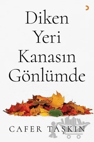 Diken Yeri Kanasın Gönlümde – Cafer Taşkın – Cinius Yayınları kitap kapağı