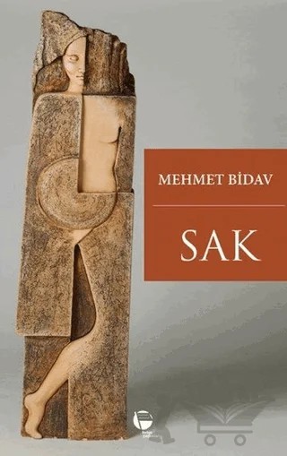 Sak – Mehmet Bidav – Belge Yayınları kitap kapağı