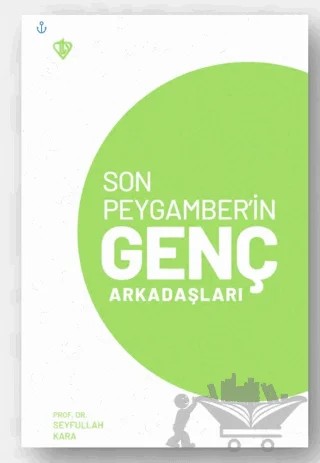 Son Peygamber’in Genç Arkadaşları – Seyfullah Kara – Türkiye Diyanet Vakfı Yayınları kitap kapağı