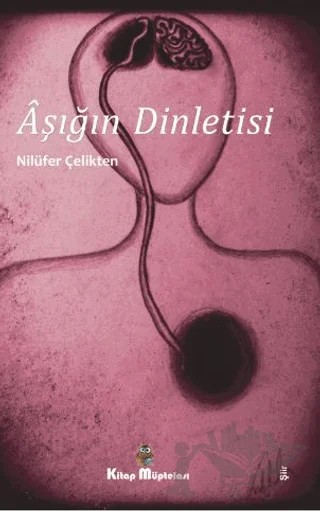 Aşığın Dinletisi – Nilüfer Çelikten – Kitap Müptelası Yayınları kitap kapağı