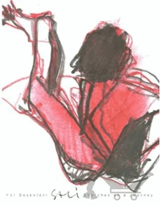 Yol Desenleri – Sali – Yazarın Kendi Yayını - Sali kitap kapağı