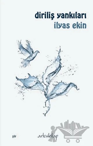 Diriliş Yankıları – İlyas Ekin – Artos Kitap kitap kapağı