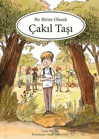 Bir Birim Olarak Çakıl Taşı – Elif Toz – MEAV Yayıncılık kitap kapağı