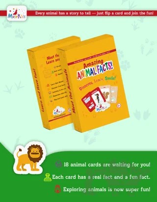 Amazing Animal Facts! – Kolektif – MuseKids kitap kapağı
