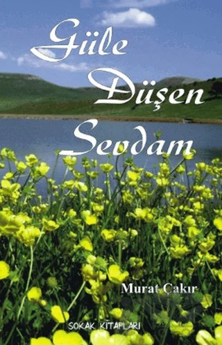 Güle Düşen Sevdam – Murat Çakır – Sokak Kitapları Yayınları kitap kapağı