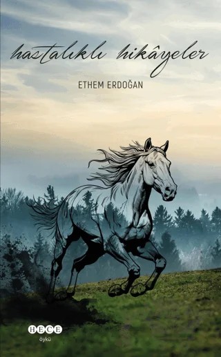 Hastalıklı Hikayeler – Ethem Erdoğan – Hece Yayınları kitap kapağı