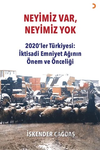 Neyimiz Var Neyimiz Yok – İskender Çağdaş – Cinius Yayınları kitap kapağı