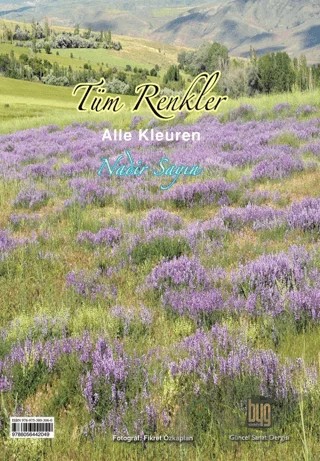 Tüm Renkler – Nadir Sayın – Baygenç Yayıncılık kitap kapağı