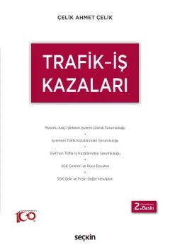 Trafik – İş Kazaları – Çelik Ahmet Çelik – Seçkin Yayıncılık kitap kapağı