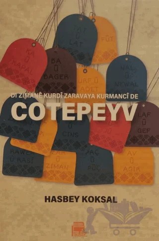 Cotepeyv – Hasbey Köksal – Payiz Yayınları kitap kapağı