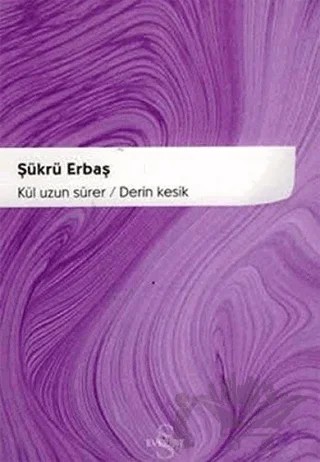 Kül Uzun Sürer / Derin Kesik – Şükrü Erbaş – Everest Yayınları kitap kapağı