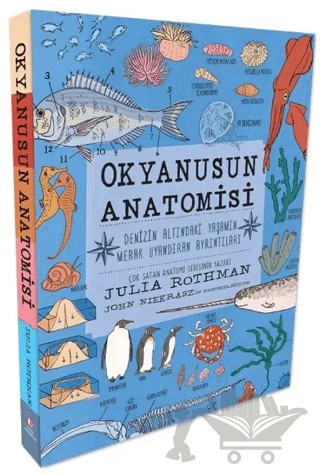 Okyanusun Anatomisi – Julia Rothman – ODTÜ Geliştirme Vakfı Yayıncılık kitap kapağı