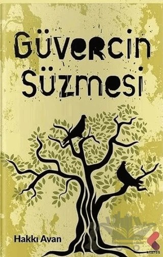 Güvercin Sürmesi – Hakkı Avan – Klaros Yayınları kitap kapağı