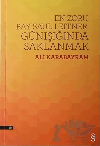 En Zoru, Bay Saul Leitner, Günışığında Saklanmak – Ali Karabayram – Everest Yayınları kitap kapağı
