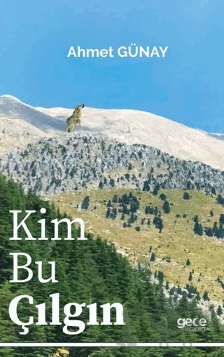 Kim Bu Çılgın – Ahmet Günay – Gece Kitaplığı kitap kapağı