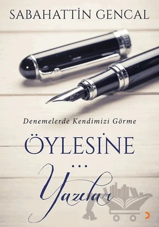 Öylesine Yazılar – Sabahattin Gencal – Cinius Yayınları kitap kapağı