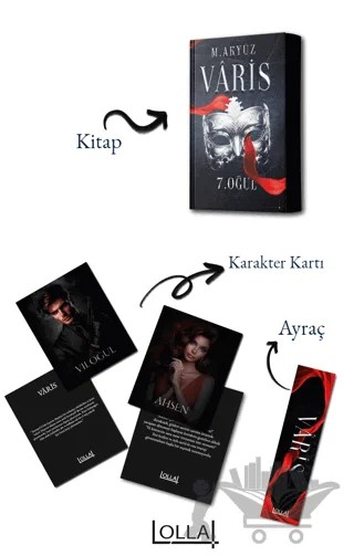 Varis – Merve Akyüz – Lolla Yayınları kitap kapağı