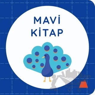 Mavi Kitap – Kolektif – Kumdan Kale kitap kapağı