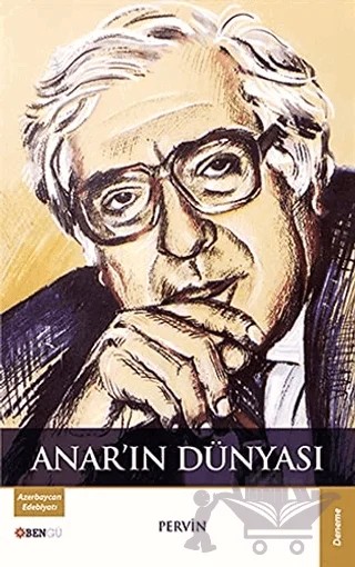 Anar'ın Dünyası – Pervin – Bengü Yayınları kitap kapağı