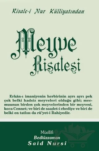 Meyve Risalesi Normal Boy – Bediüzzaman Said Nursi – Envar Neşriyat kitap kapağı