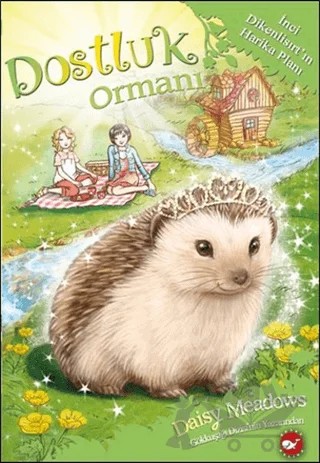 Dostluk Ormanı-6 / İnci Dikenlisırt'ın Harika Planı – Daisy Meadows – Beyaz Balina Yayınları kitap kapağı