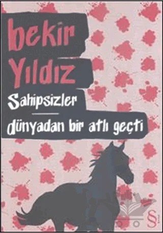 Sahipsizler - Dünyadan Bir Atlı Geçti – Bekir Yıldız – Everest Yayınları kitap kapağı