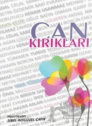 Can Kırıkları – Sibel Adıgüzel Çayır – Altın Post Yayıncılık kitap kapağı