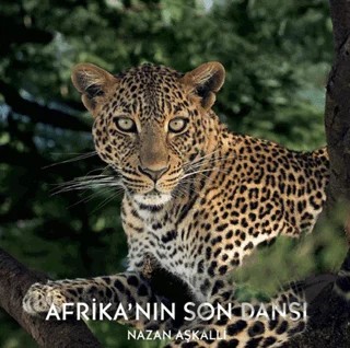 Afrika’nın Son Dansı – Nazan Aşkalli – Kara Karga Yayınları kitap kapağı