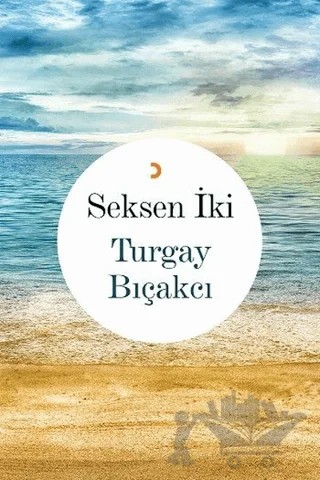 Seksen İki – Turgay Bıçakçı – Cinius Yayınları kitap kapağı