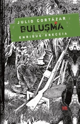 Buluşma – Julio Cortazar – Delidolu kitap kapağı