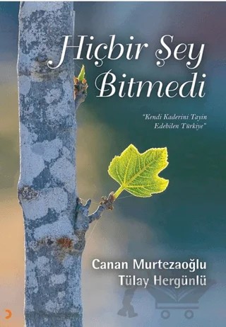 Hiçbir Şey Bitmedi – Tülay Hergünlü, Canan Murtezaoğlu – Cinius Yayınları kitap kapağı