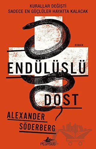 Endülüslü Dost – Alexander Söderberg – Pegasus Yayınları kitap kapağı