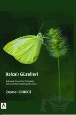 Balcalı Güzelleri – Zeynel Cebeci – Akademisyen Kitabevi kitap kapağı
