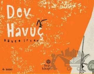 Dev Havuç – Gökçe İrten – Hep Kitap kitap kapağı
