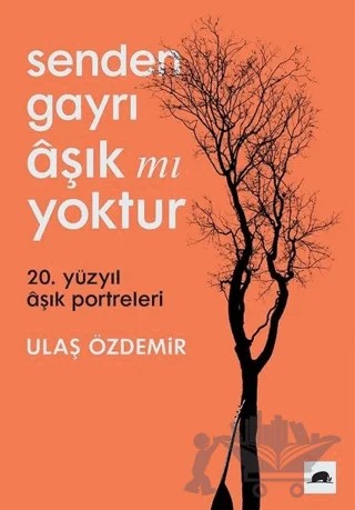 Senden Gayrı Aşık mı Yoktur – Ulaş Özdemir – Kolektif Kitap kitap kapağı