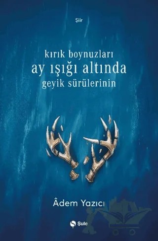 Kırık Boynuzları Ay Işığı Altında Geyik Sürülerinin – Adem Yazıcı – Şule Yayınları kitap kapağı