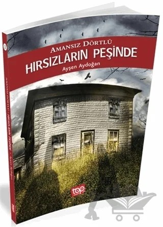Hırsızların Peşinde - Amansız Dörtlü 1 – Ayşen Aydoğan – Top Yayıncılık kitap kapağı