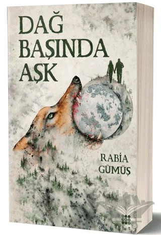 Dağ Başında Aşk – Rabia Gümüş – Dokuz Yayınları kitap kapağı